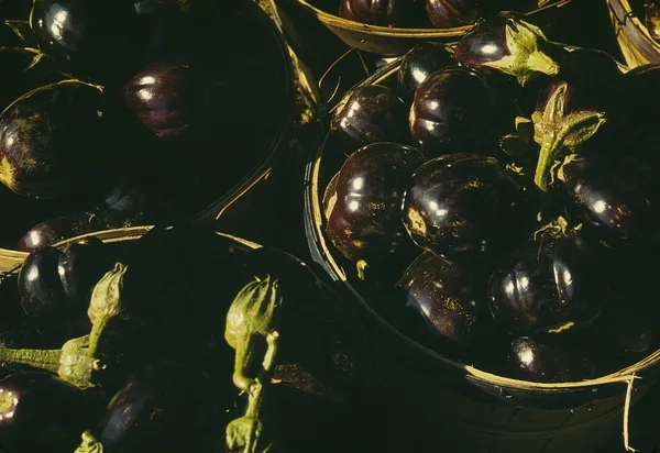 Bushel baskets of eggplants, about 1941–42